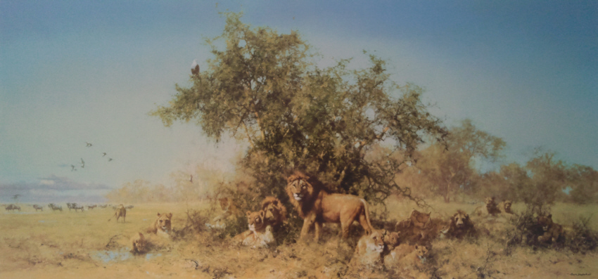 david shepherd  Africa, silkscreen, print