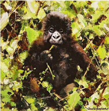 david shepherd baby gorillas print
