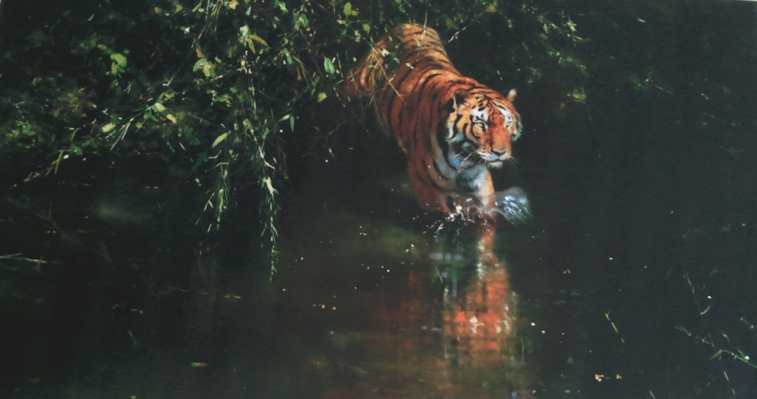 david shepherd  burning bright print