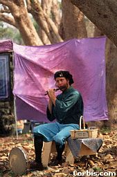 flutist.jpg (15004 bytes)