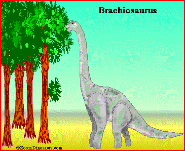 Brachioeating.GIF (33089 bytes)