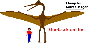 Quetzalcoatlus.GIF (2106 bytes)
