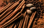 Cinnamon & Cloves
