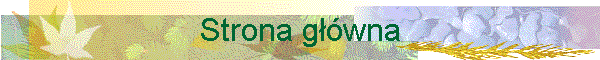 Strona g��wna