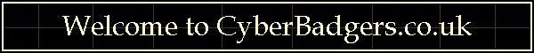 Welcome to CyberBadgers.co.uk
