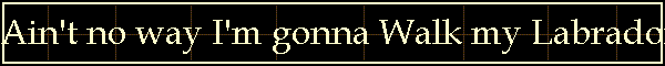 Ain't no way I'm gonna Walk my Labrador