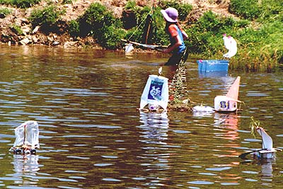 click on this to go to the next page.