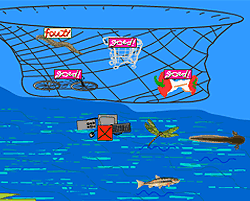 choose another month