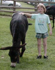 choose another month