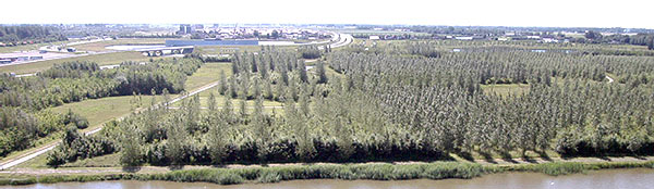 choose another month