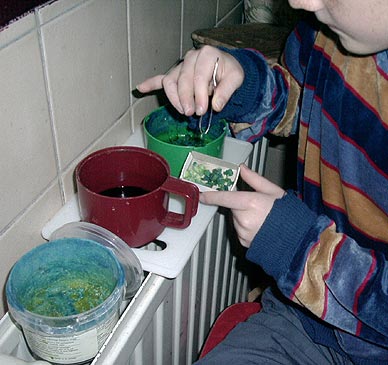 choose another month