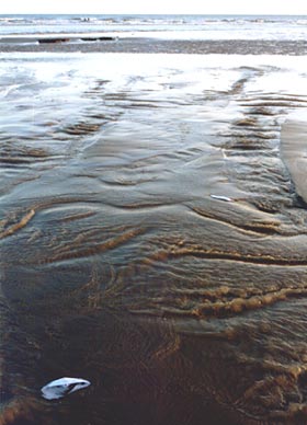 choose another month