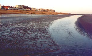 choose another month