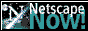 Download Netscape