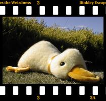 escaping the weirdness