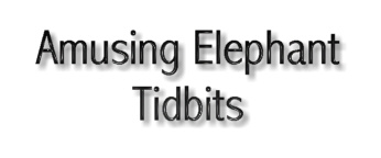 Amusing Elephant tidbits