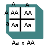 Image of aaxaa.gif