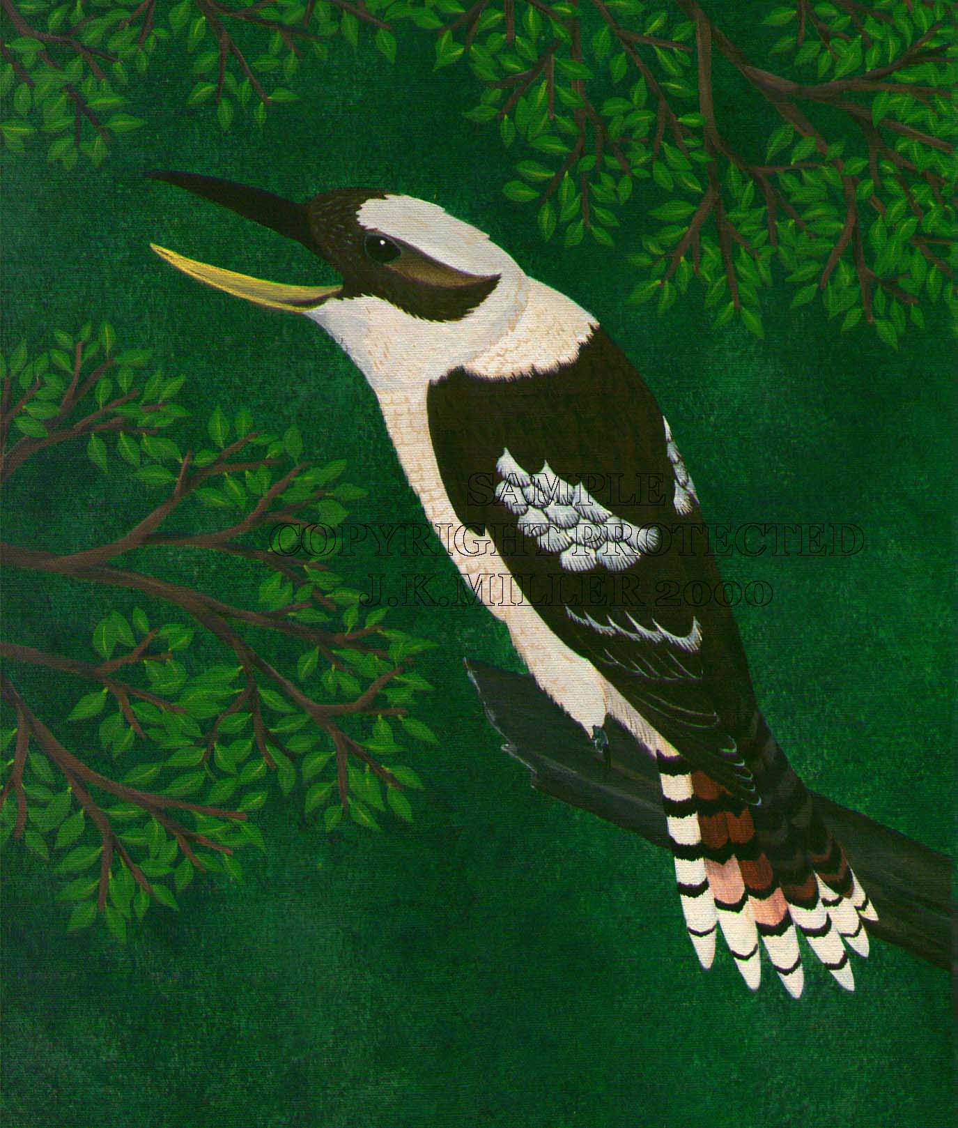 Kookabura
