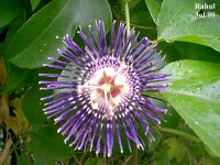 Click the image to view the updated page