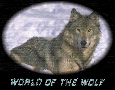 World of the Wolf