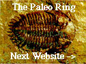 The Paleo Ring's Next
Website