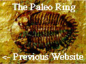 The Paleo Ring's Previous
Website