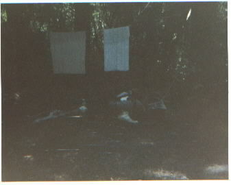 2daycamp.jpg (10947 bytes)