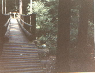 bridge.jpg (16699 bytes)