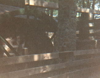 ospwheel.jpg (13392 bytes)