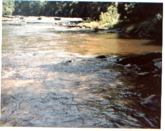 river2.jpg (24309 bytes)