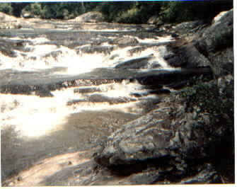river3.jpg (24272 bytes)