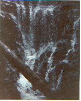 waterfall2.jpg (19097 bytes)