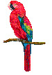 birdbutton1.gif (2976 bytes)