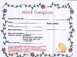 hatchcertificate.JPG (23102 bytes)