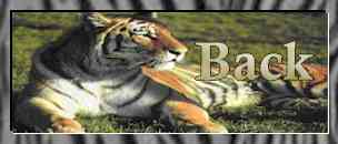 Back to the Zoo Page