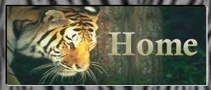 Back to the Casa de Whatever Index