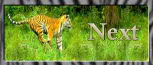 On to Other Big Cats