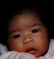 miche1.jpg (49457 bytes)