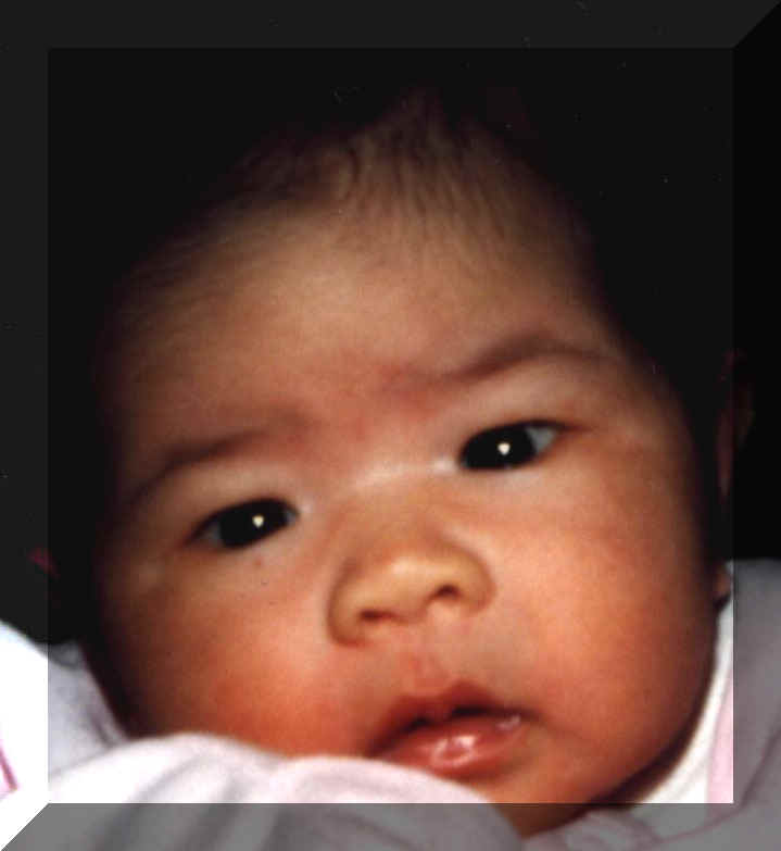 miche2.jpg (59636 bytes)