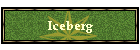 Iceberg