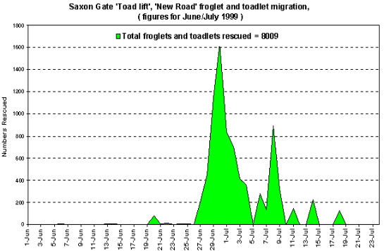 New Road froglet and toadlet migration (Graph)