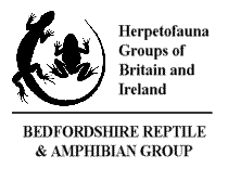 Visit the BRAG web site.