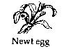 Newt egg