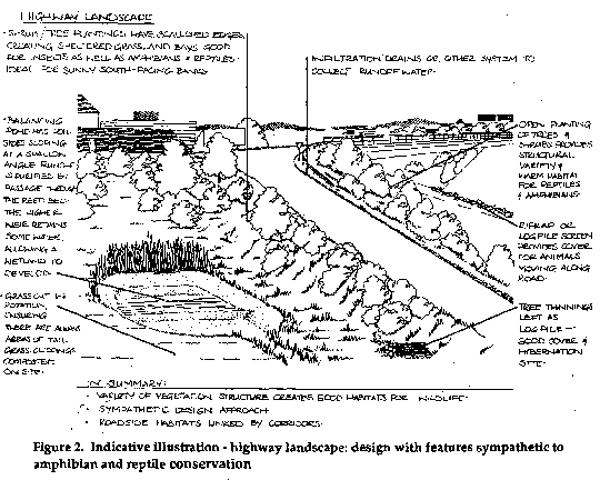 Figure 2, sympathetic design
