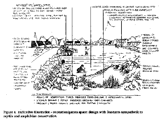 Fig 4, sympathetic design