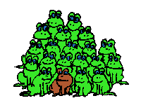 The frogs and toads of Saxon Gate have something to say (35kB)
