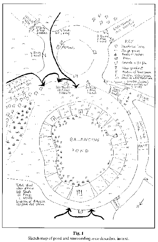 Sketch map of Balancing Pond and surrounding area