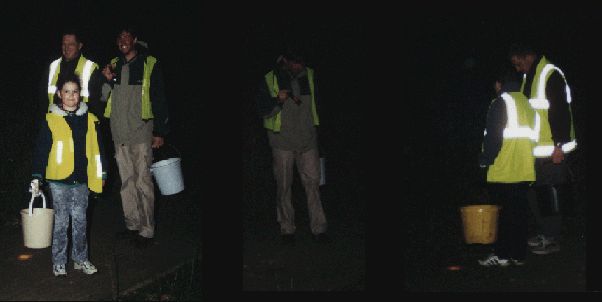 Clik here to enter the web site, or just wait a while for the auto-load.