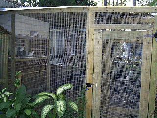 aviary1.gif (72646 bytes)