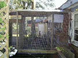 aviary2.gif (51758 bytes)